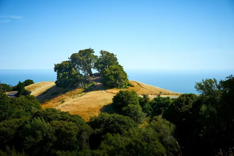 Stinson Beach, California