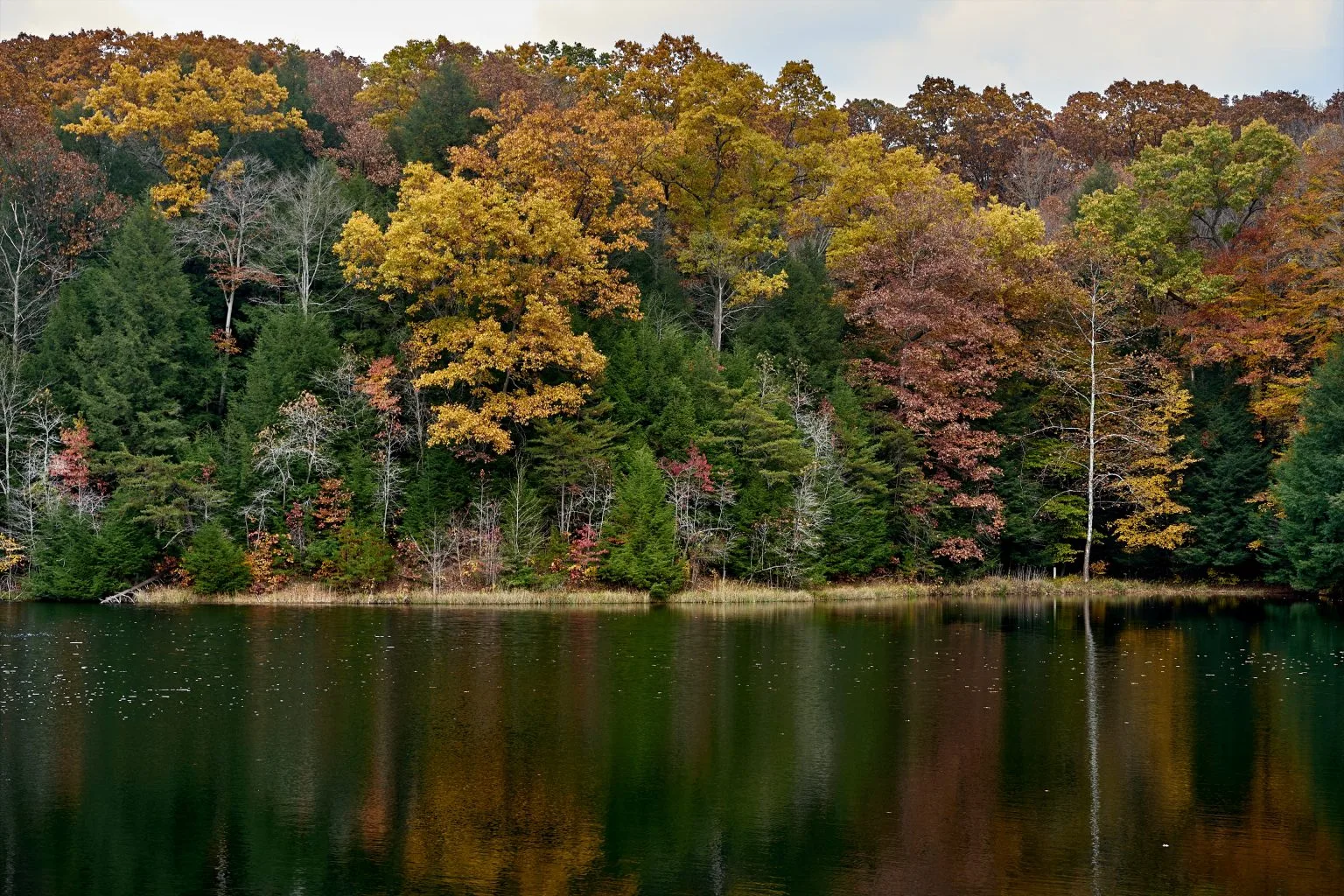 Hocking Hills State Park, Logan, Ohio
