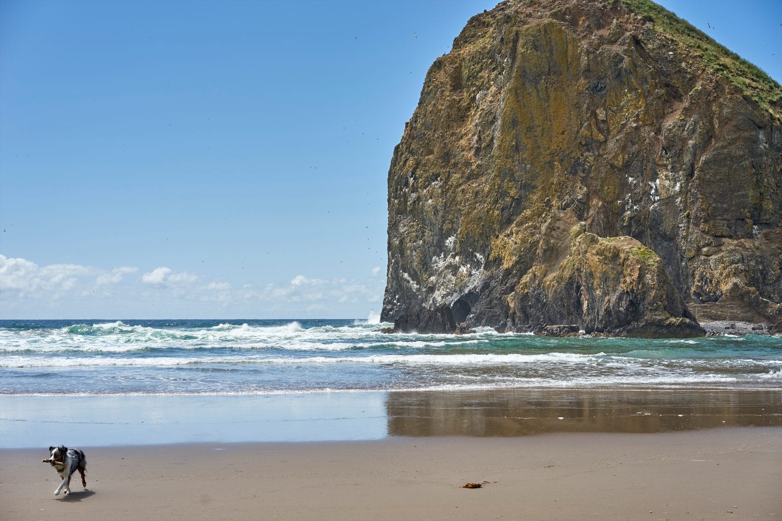 Haystack Rock, Cannon Beach, Oregon