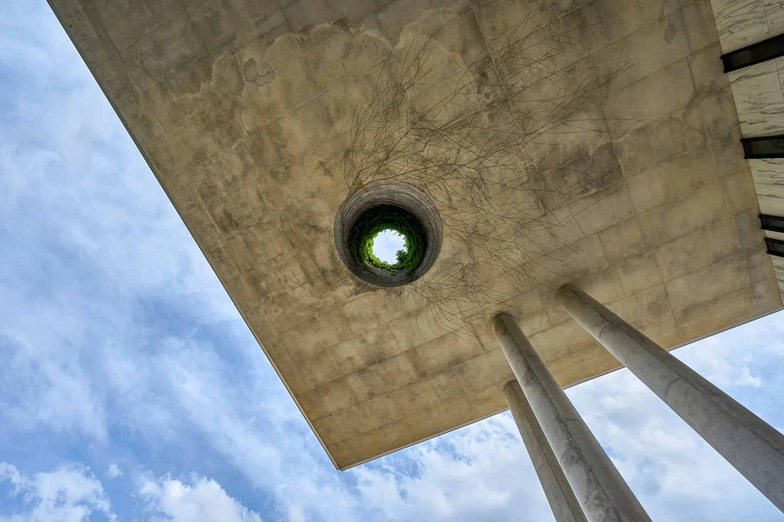 The Ohio State University, Columbus, Ohio