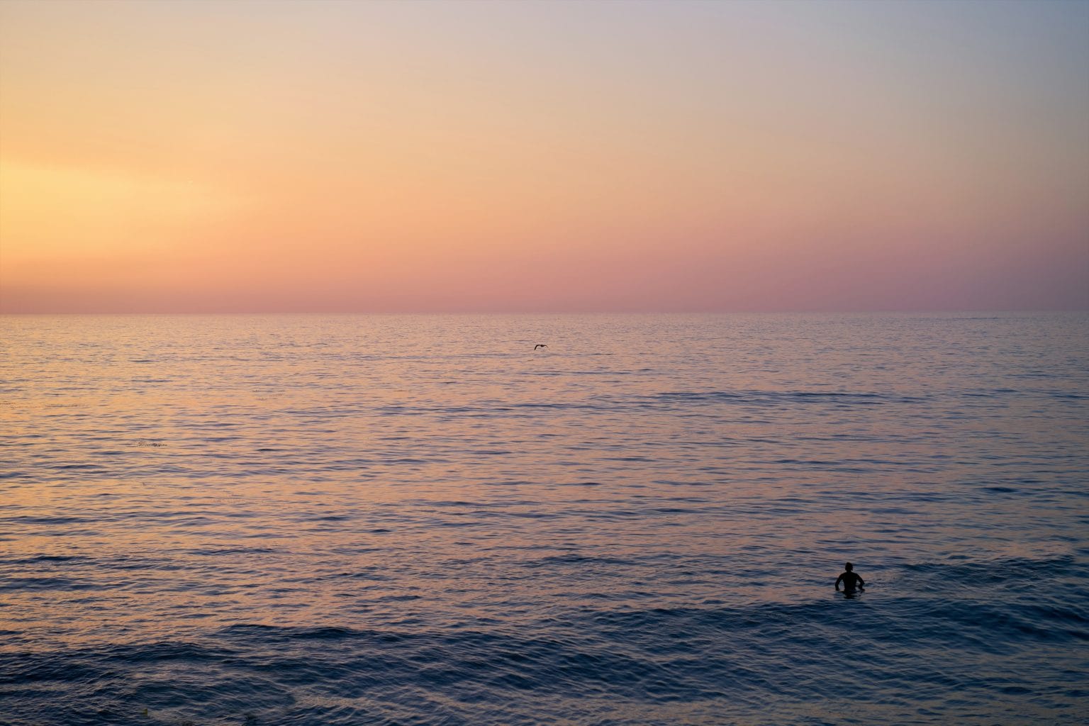 Test Photo 1